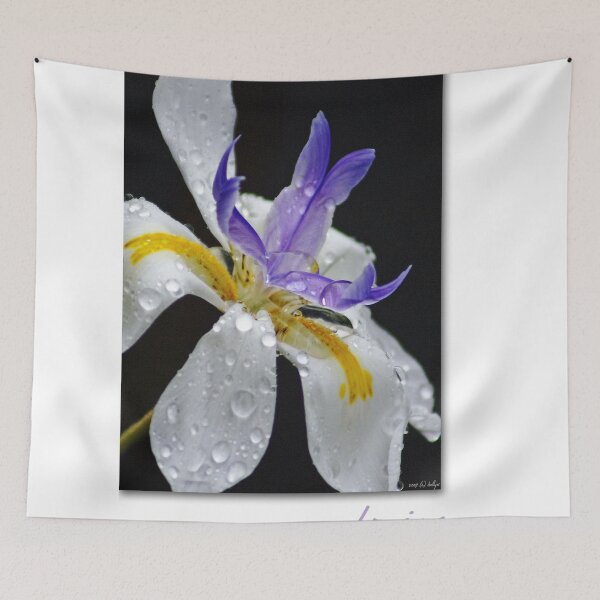 Item preview, African Iris designed and sold by Holly Kempe.