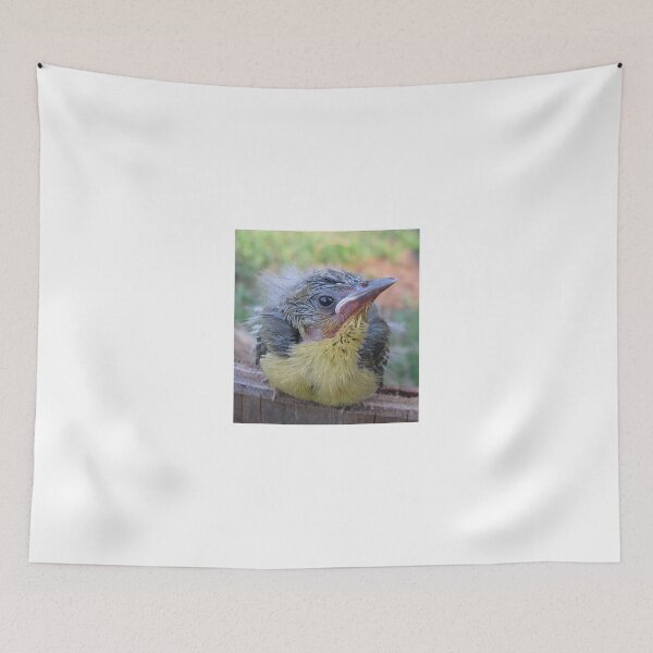 Item preview, Baby Oriole designed and sold by Ginny York.