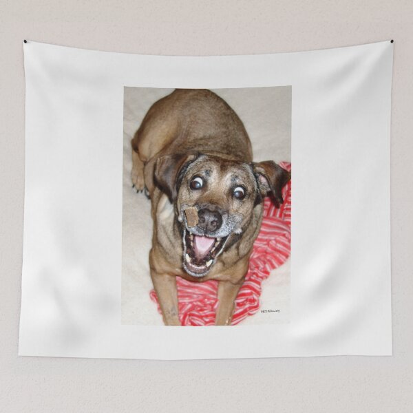 Item preview, Funny Mattie designed and sold by Samitha Edwards.