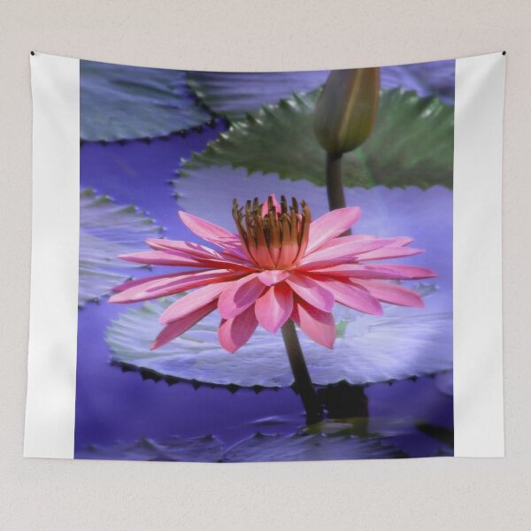 Item preview, And the Day Came..... designed and sold by Holly Kempe.