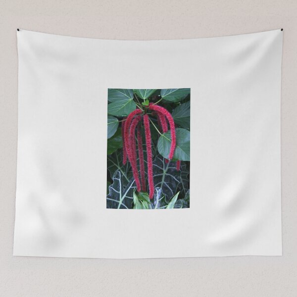 Item preview, Love Lies Bleeding designed and sold by coffeebean.