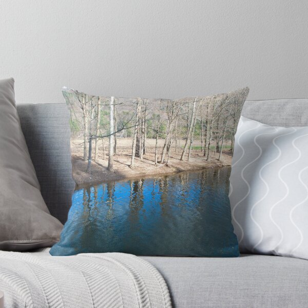 Item preview, Shore reflections designed and sold by Penny Fawver.