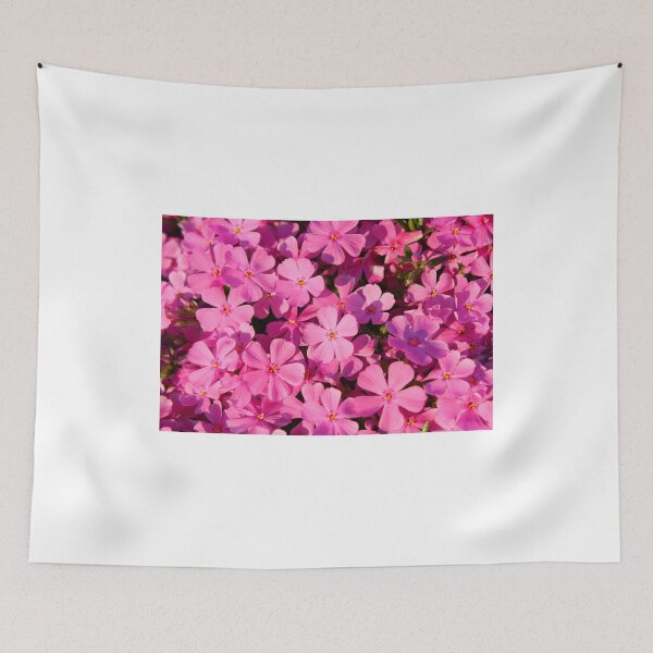 Item preview, Creeping Phlox designed and sold by Rachel Stickney.