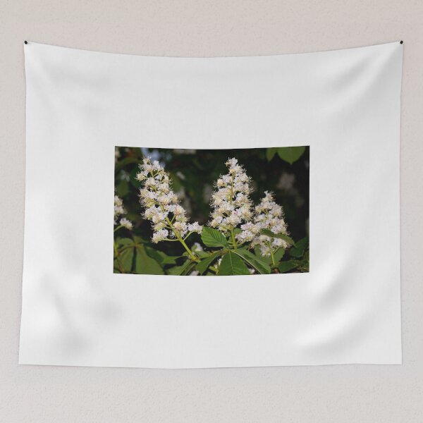 Item preview, Aesculus  (flower) 2  / Kwiat kasztanowca 2 designed and sold by MarekM.