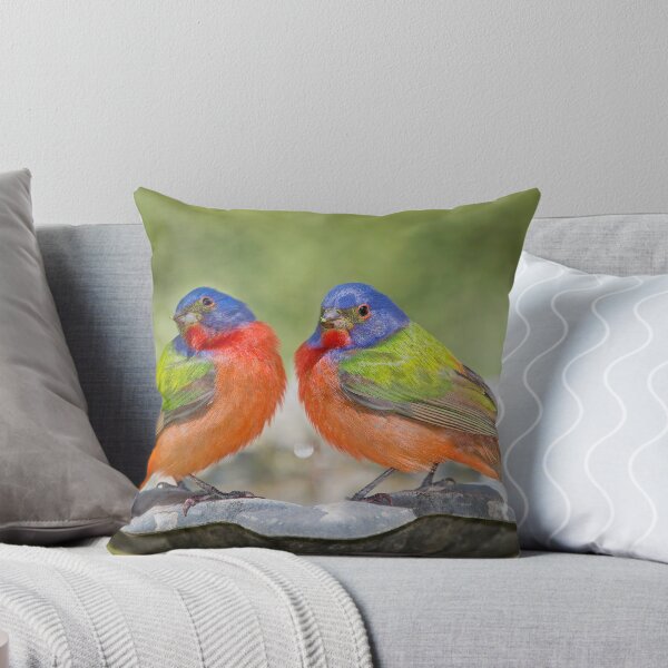 Item preview, Male Painted Buntings designed and sold by Bonnie T.  Barry.