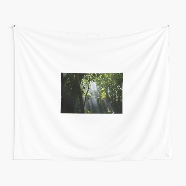 Sun Rays Tapestry