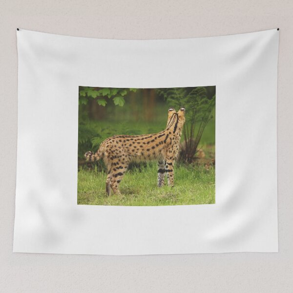 Item preview, Eyes In The Back Of My Head! designed and sold by francophotos.