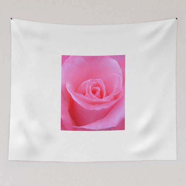 Aperçu de l'œuvre Rose rose créée et vendue par jenndes.