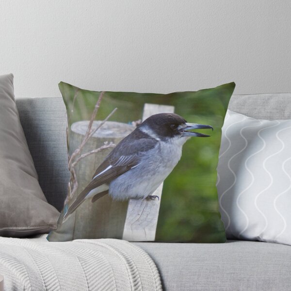 Item preview, ARTAMIDAE ~ Grey Butcherbird CJEU2XFC by David Irwin designed and sold by tasmanianartist.