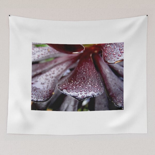 Item preview, After the Rain designed and sold by leekier.