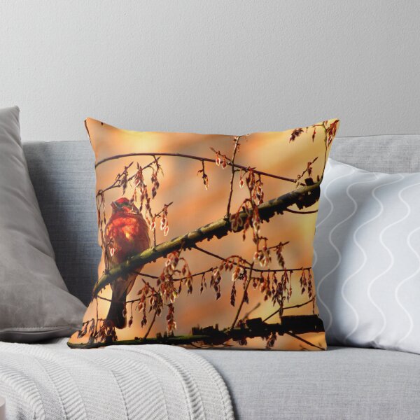 Item preview, House Finch designed and sold by Hayley R. Howard.
