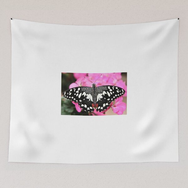 Item preview, Black and White Beauty designed and sold by Jo Nijenhuis.