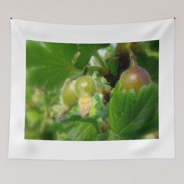 Item preview, gooseberry childhood 2 designed and sold by Eugenio.