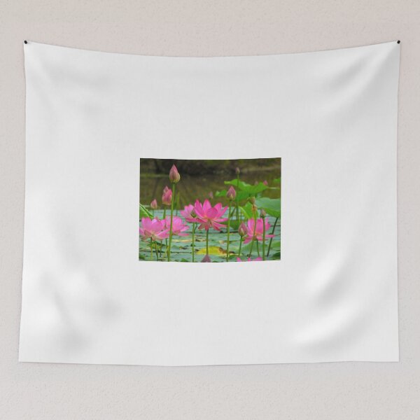 Item preview, On Lotus Pond designed and sold by NatureGreeting Cards ©ccwri.