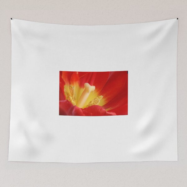 Item preview, Red Tulip designed and sold by SmoothBreeze7 | Liz Collet Photography.