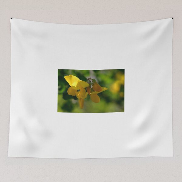 Item preview, Light's Glance designed and sold by SmoothBreeze7 | Liz Collet Photography.