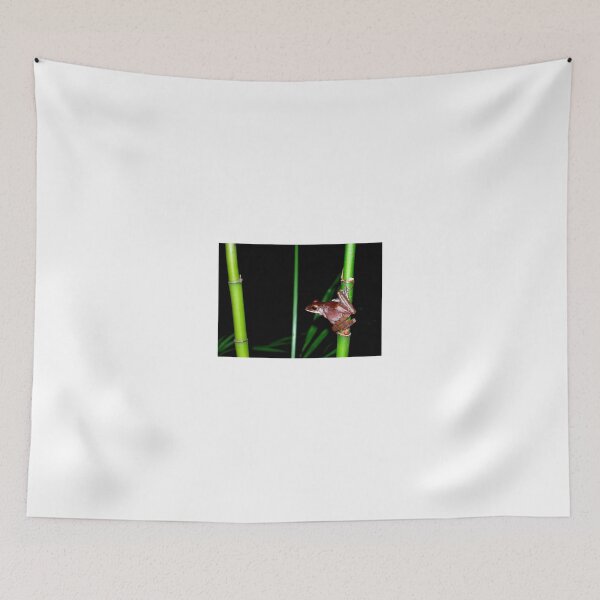 Item preview, Vietnamese Frog designed and sold by Natalie Broome.