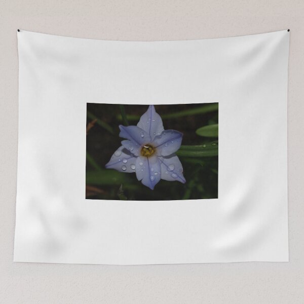 Item preview, Canberra s flower after the rain designed and sold by Tom McDonnell.