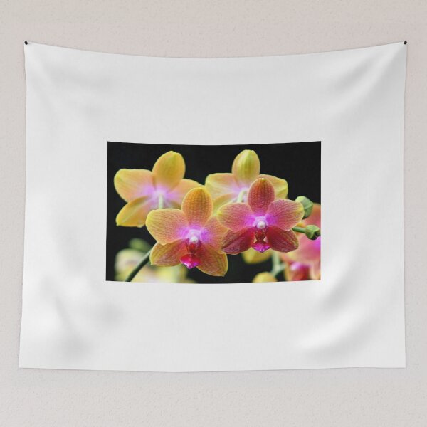 Item preview, Orchids so Wonderful designed and sold by Jo Nijenhuis.