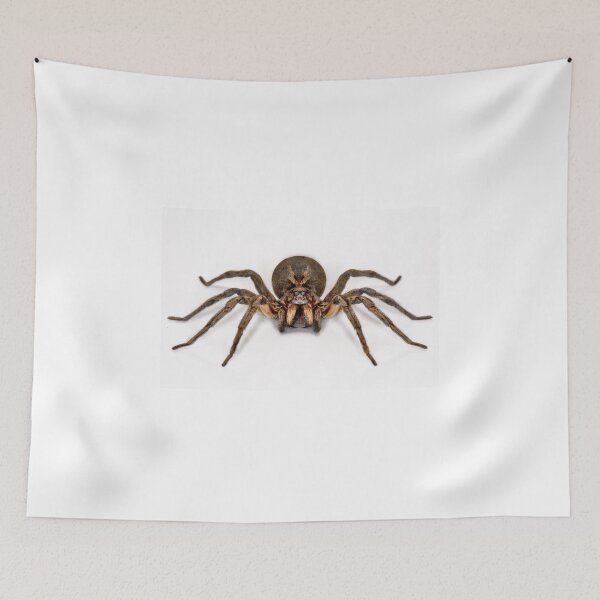 Item preview, Crazy Eyes designed and sold by Ken Boxsell.