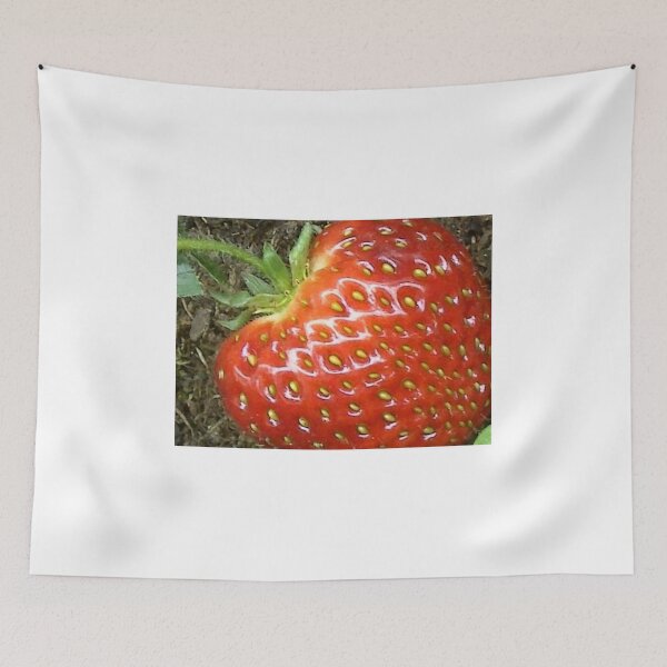 Item preview, oooh anyone have the sugar and cream please? designed and sold by anaisnais.