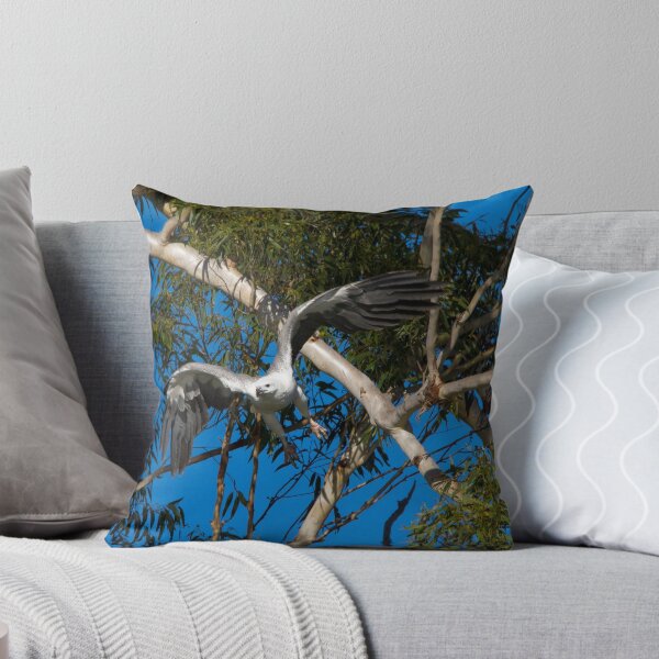 Item preview, Sea-eagle Pair designed and sold by byronbackyard.