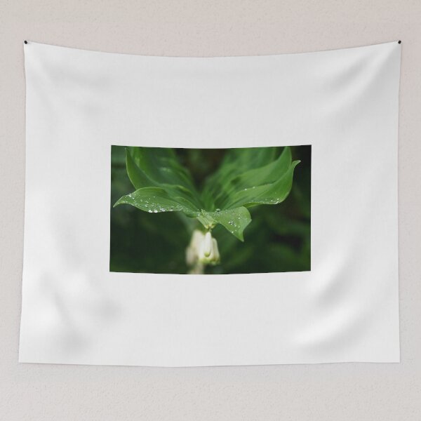 Item preview, holding the droplets designed and sold by AndrewJonesFoto.