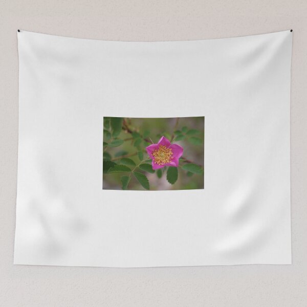 Item preview, Pink Surprise designed and sold by CarolM.