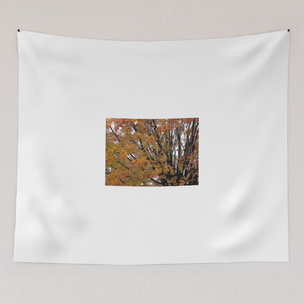 Item preview, Maple in the Fall designed and sold by mnkreations.
