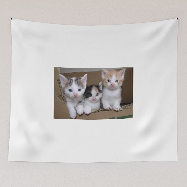 Item preview, Welcome in the Big, Big, Big World Kitties designed and sold by Jo Nijenhuis.