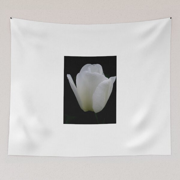 Item preview, Divine designed and sold by Melissa Park.
