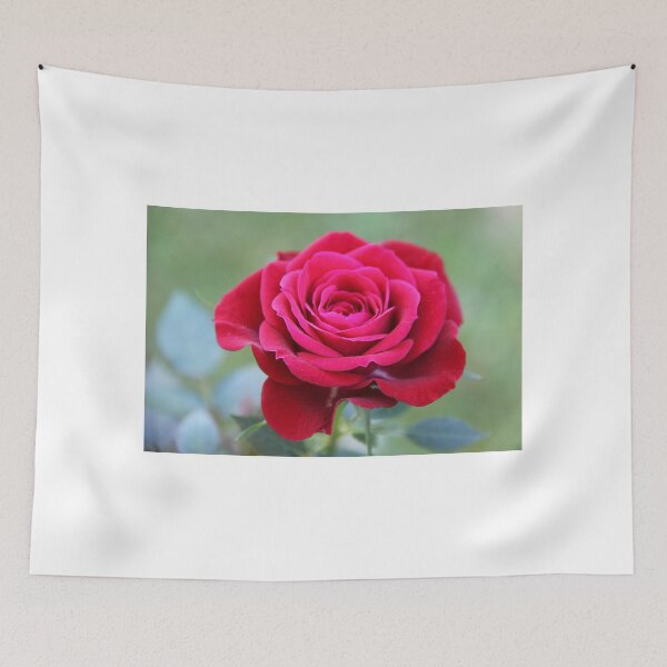 Item preview, That's Amore designed and sold by coffeebean.