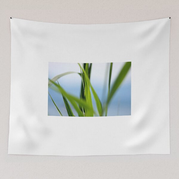 Item preview, Reed designed and sold by SmoothBreeze7 | Liz Collet Photography.