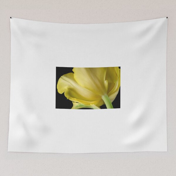 Item preview, Hello Sunshine {Yellow Tulip} designed and sold by SmoothBreeze7 | Liz Collet Photography.
