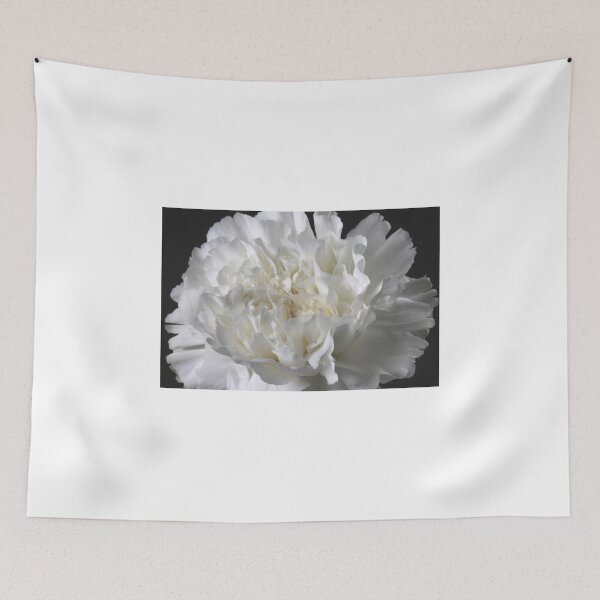 Item preview, Silently designed and sold by SmoothBreeze7 | Liz Collet Photography.
