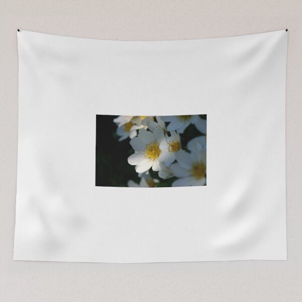 Item preview, Between Light And Shades designed and sold by SmoothBreeze7 | Liz Collet Photography.
