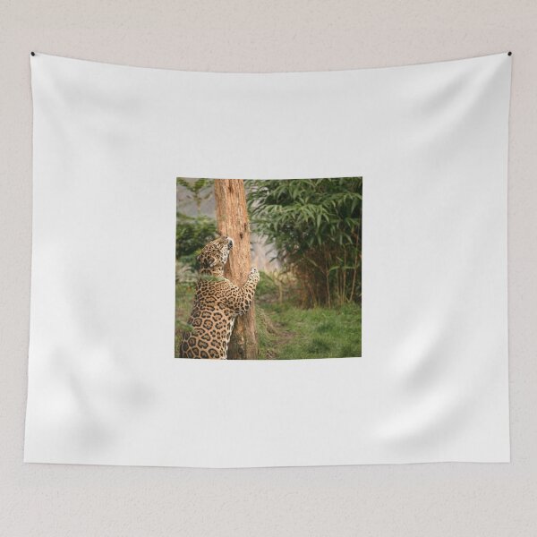 Item preview, Hug A Tree! designed and sold by francophotos.