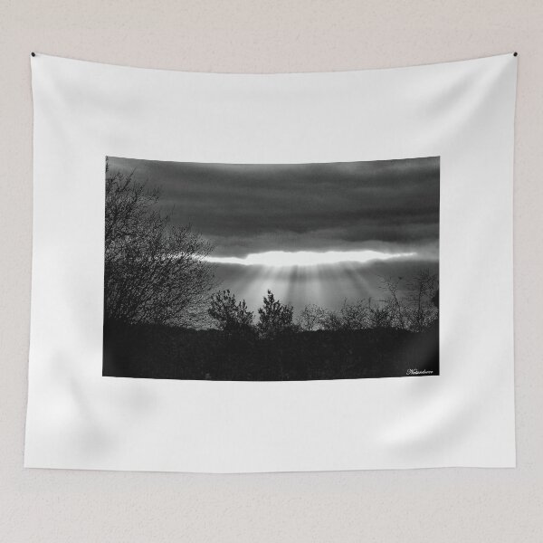 Item preview, The Last Rays! designed and sold by naturelover.