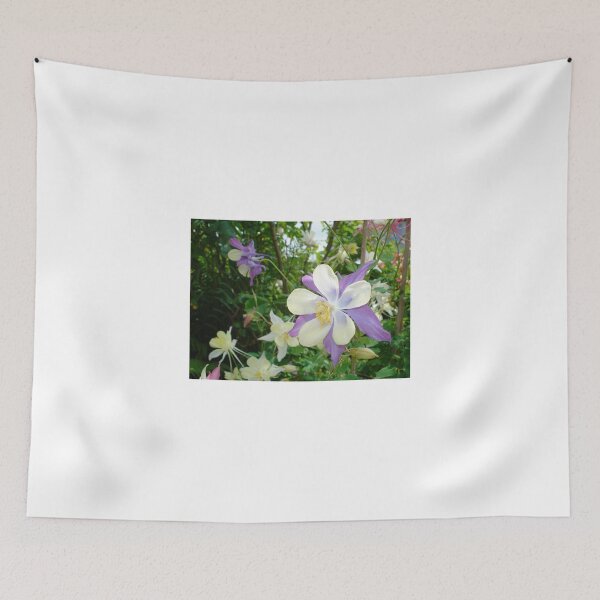 Item preview, Aquilegias designed and sold by photobubble.