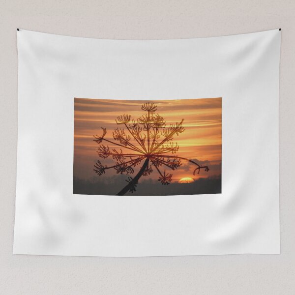 Item preview, Hogweed Winter Sunrise #2 designed and sold by Jo Nijenhuis.
