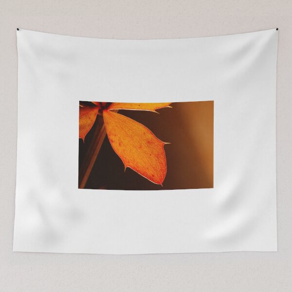 Item preview, Single leaf designed and sold by woolcos.