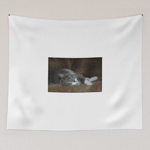 Item preview, Furry Cat © Vicki Ferrari designed and sold by Vicki Ferrari Photography.