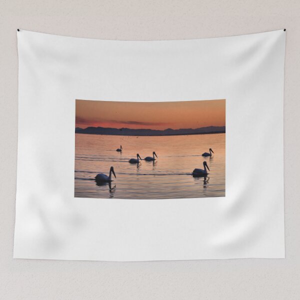 Item preview, Pelicans Sunset Salton Sea designed and sold by Jo Nijenhuis.