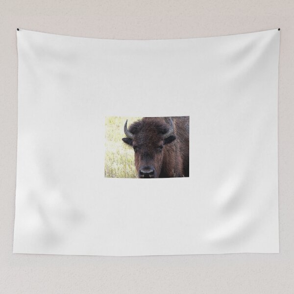 Item preview, FATHER BISON designed and sold by Larry Trupp.