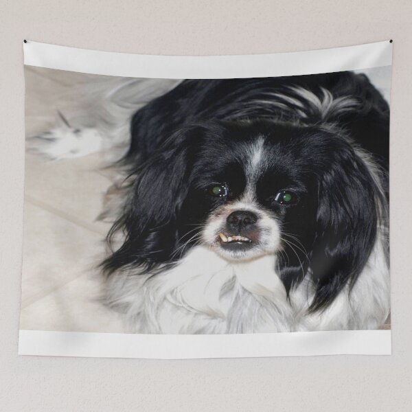 Item preview, Snaggle tooth designed and sold by B. Randi Bailey.