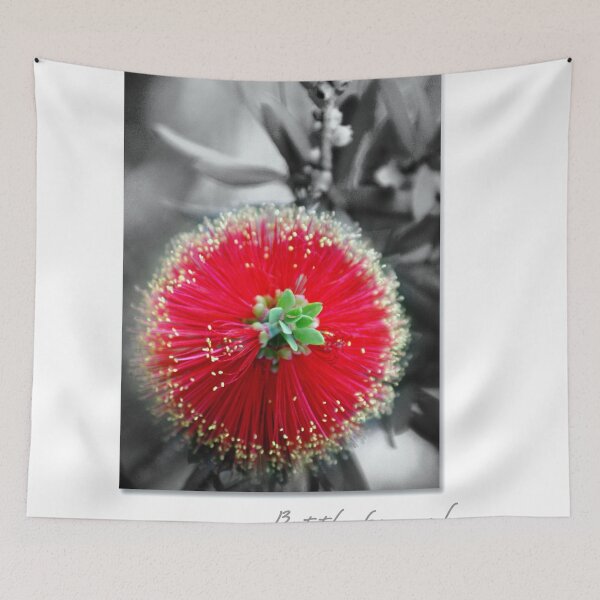 Item preview, "Bottlebrush" Callistemon designed and sold by Holly Kempe.