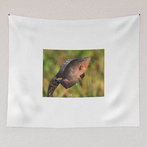 Item preview, Anhinga Displaying Meal designed and sold by WorldDesign.