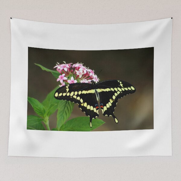 Item preview, Pure & Simple designed and sold by glink.