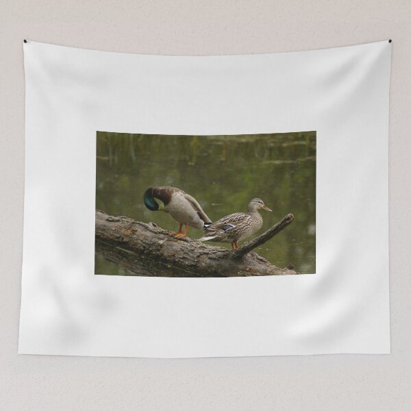 Item preview, Waterfowl, Mud Lake, Ottawa, Ontario designed and sold by Tracey  Dryka.