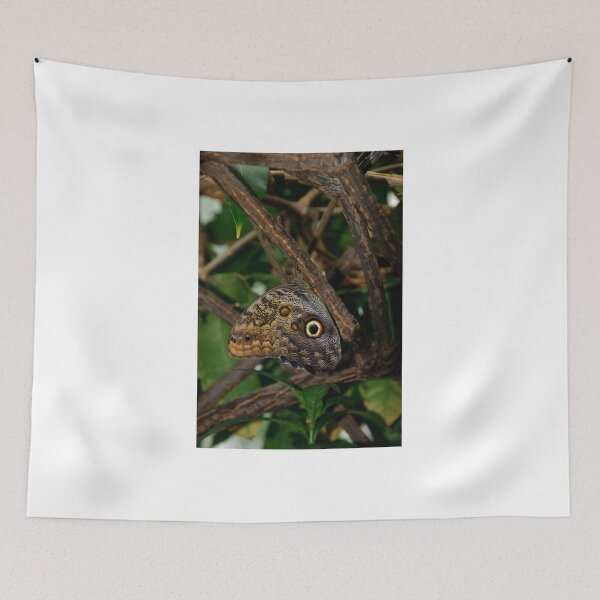 Item preview, It's all in the Eyes!! - Carleton University, Ottawa, Ontario designed and sold by Tracey  Dryka.